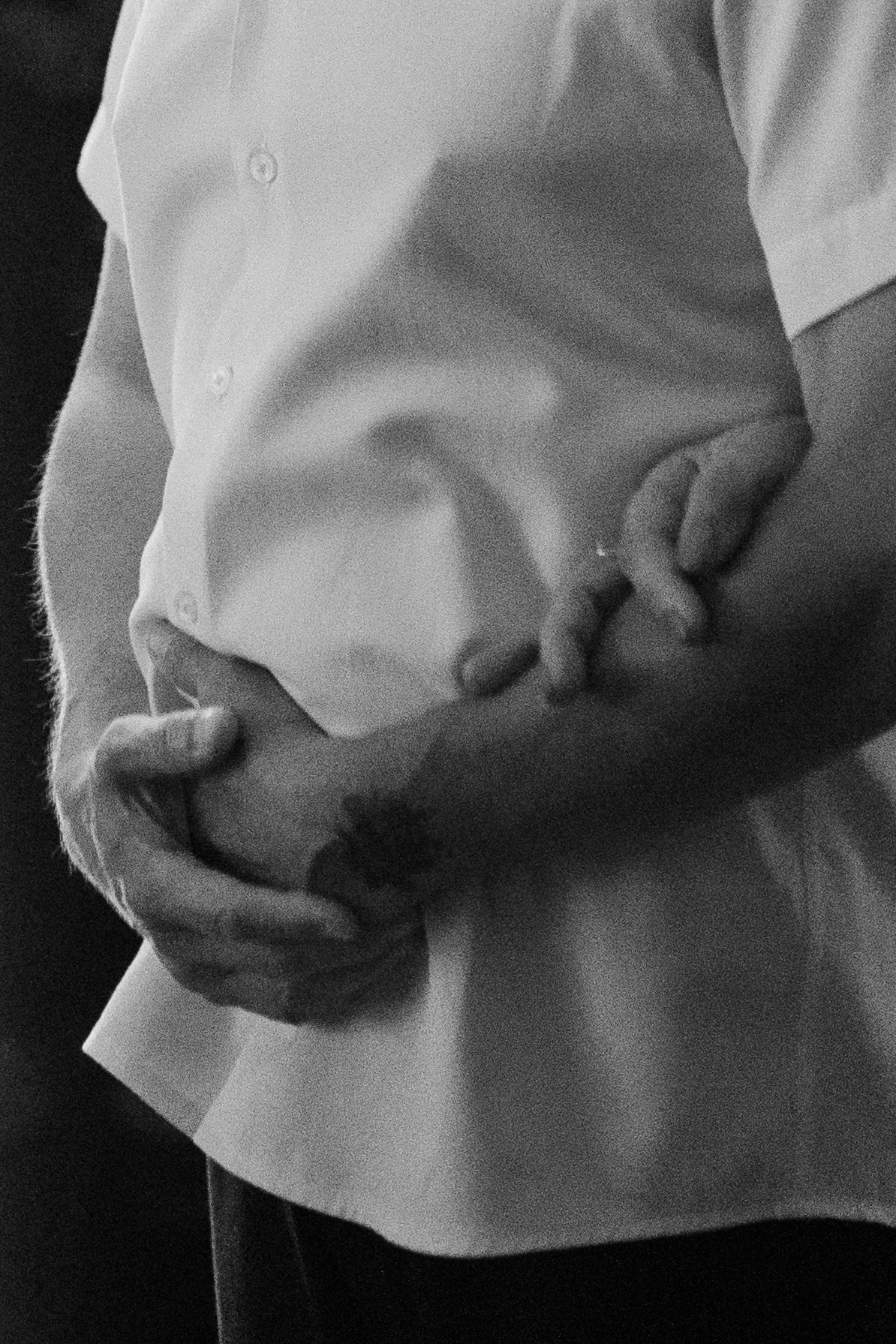 RED LOVE. Свадебный фотограф в Самаре Олеся Масливец