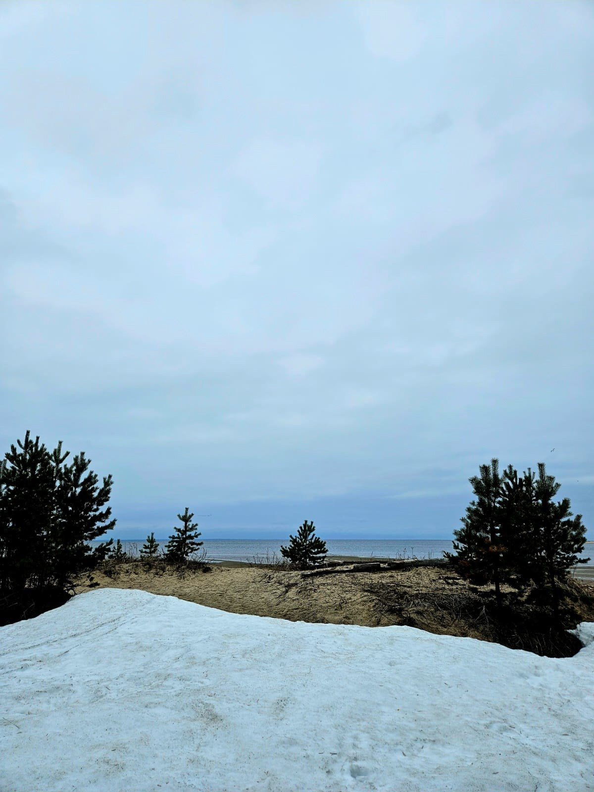 Архангельск | 08.05 — 11.05.2025. Галерея Фантим