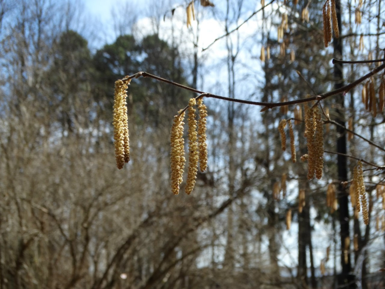 «Весенний переполох» Загородный выезд | 16-17.04.2016. Галерея Фантим