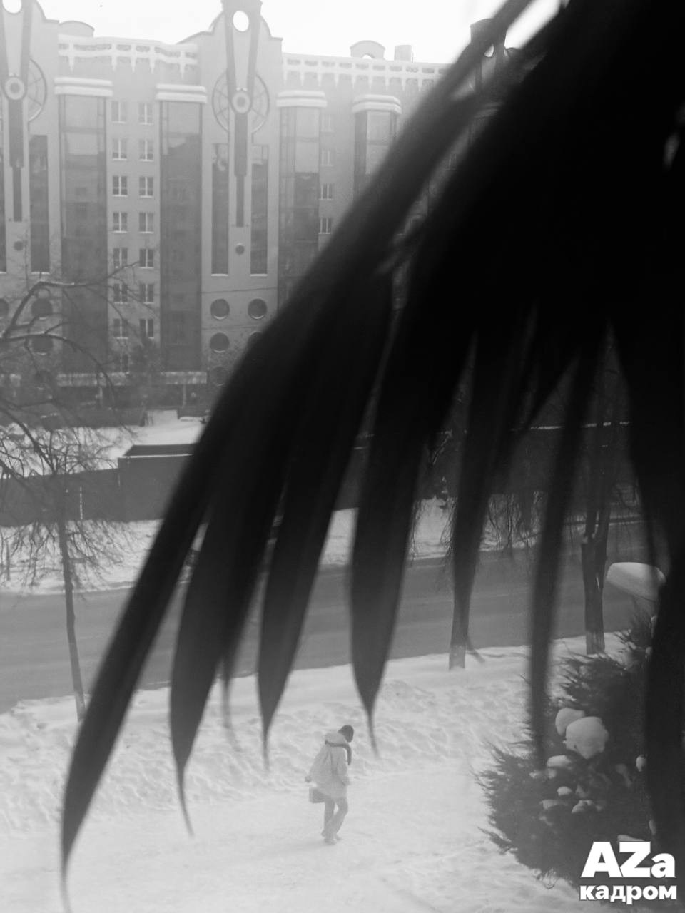 Фотофанты 02.02.2026. Женский семейный фотограф Тула Москва Захарова Анна