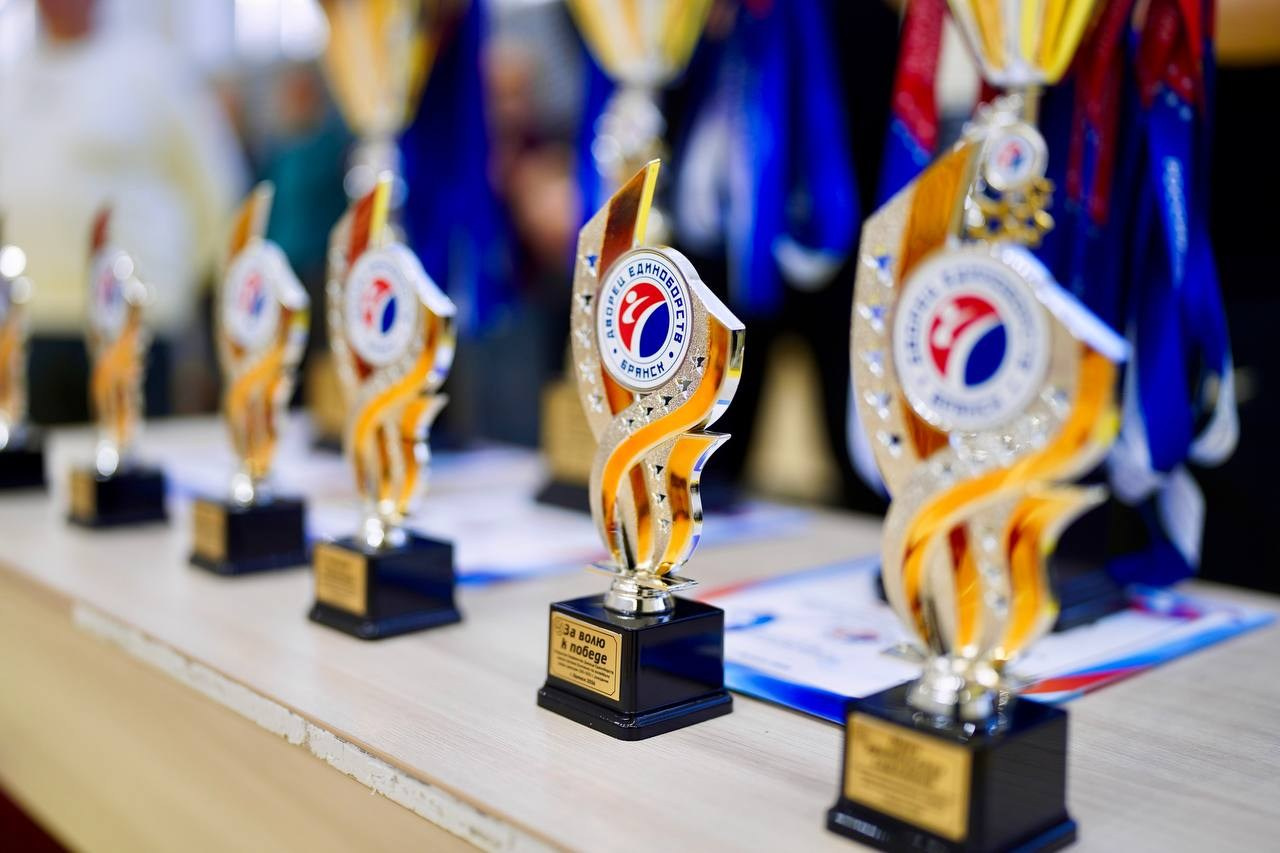 Турнир по волейболу среди девочек 13 лет, г. Брянск. Фотограф в Брянске — Анна Арутюнян