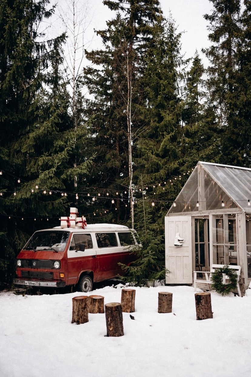 Фотолокация «Forest», Черноисточинск. Фотограф Нижний Тагил Лилия Савина