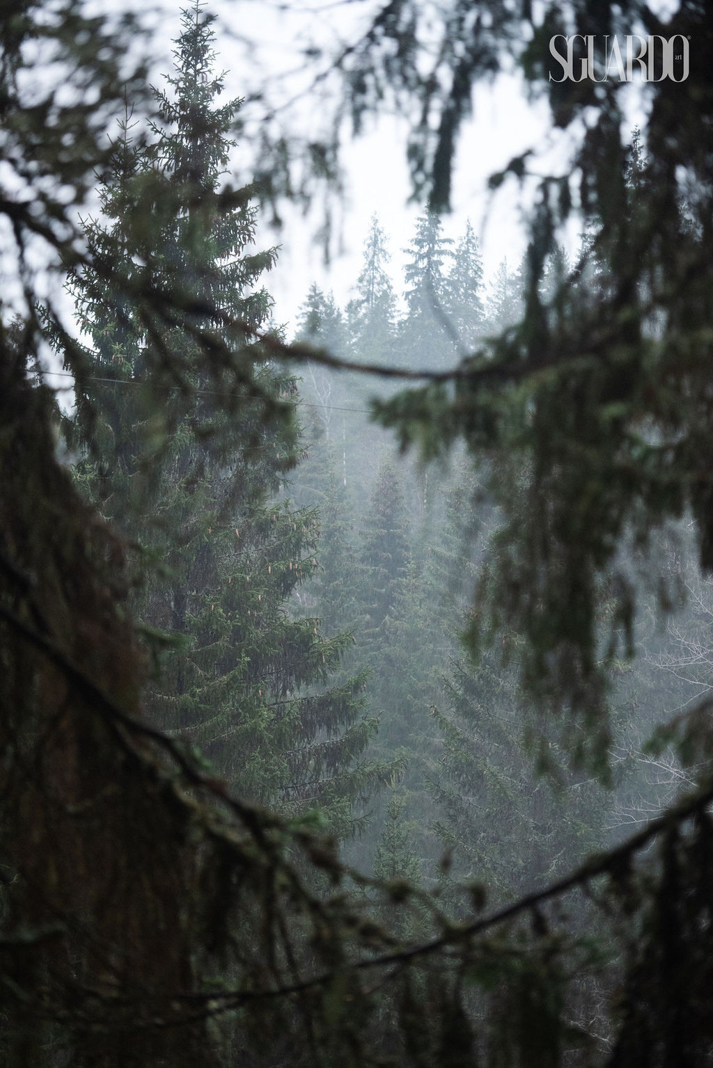 Публикации. Александра Мельник I Фотограф Москва