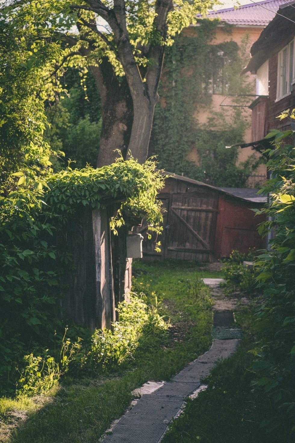 Фотосессия. Фотограф в Липецке Даниил Липай