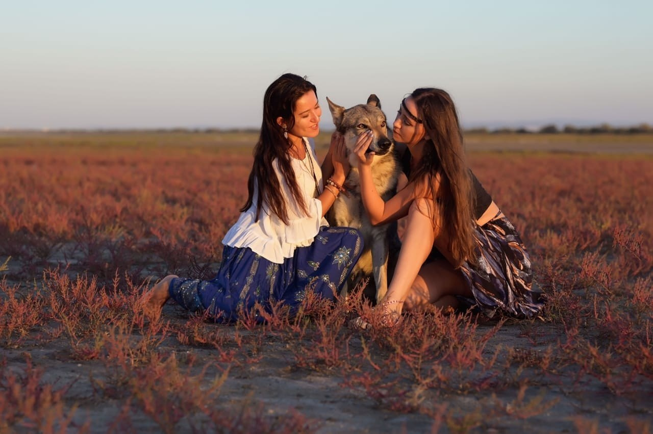 Встреча с волком. Фотограф в Анапе Елена Нор