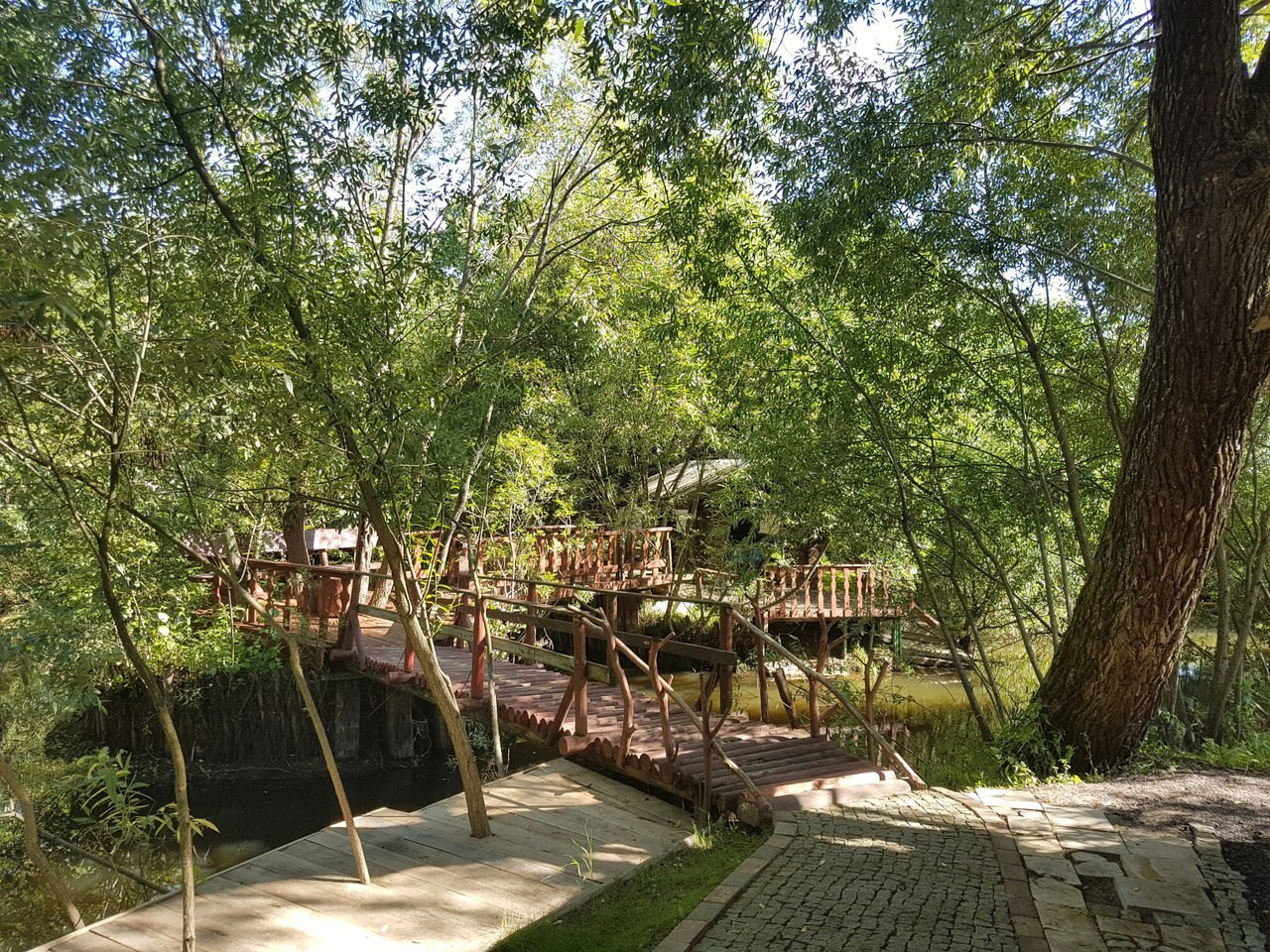 Деревенский выезд 2 | 26-28.08.2016. Галерея Фантим