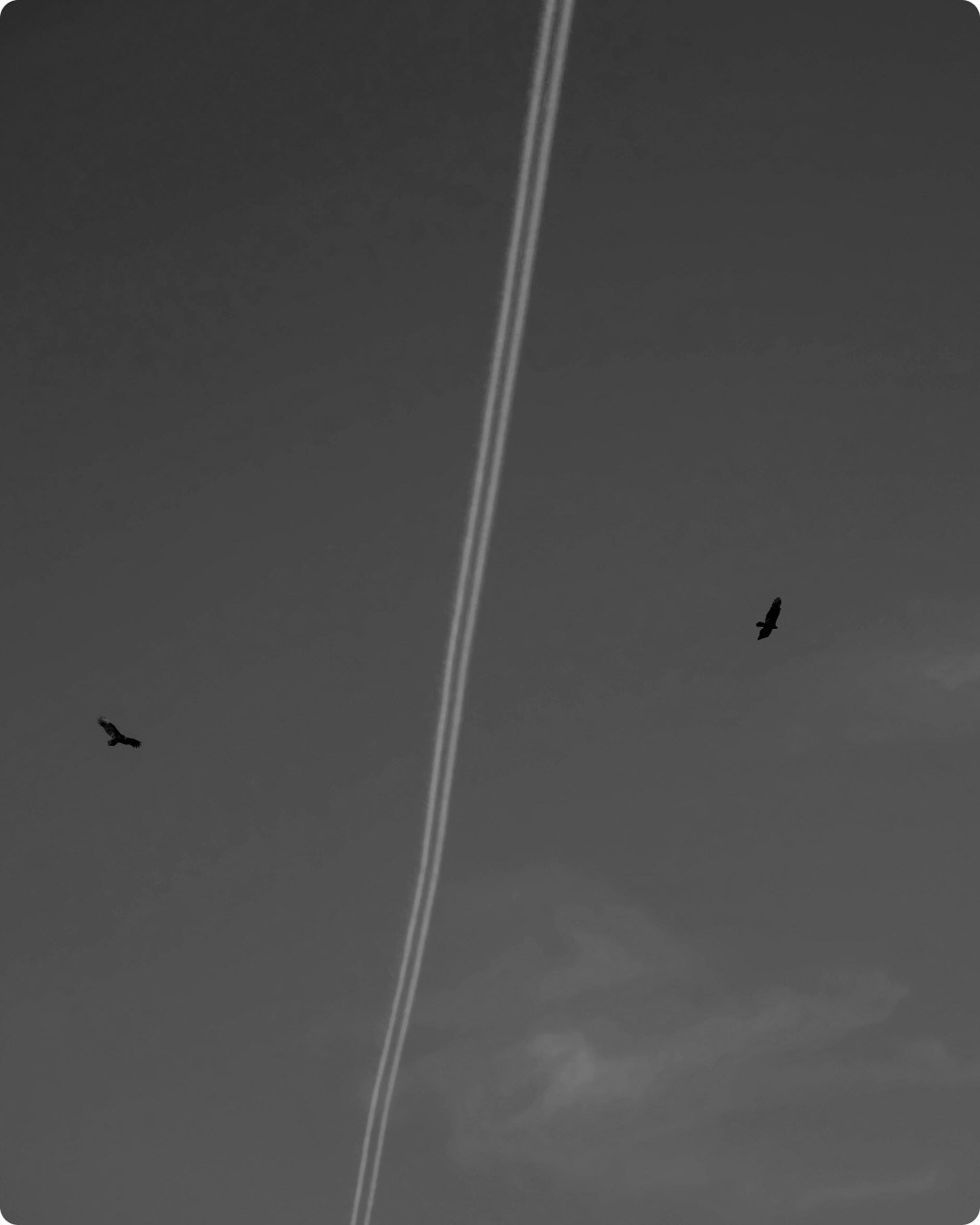 Дарья Удилова психолог психоаналити