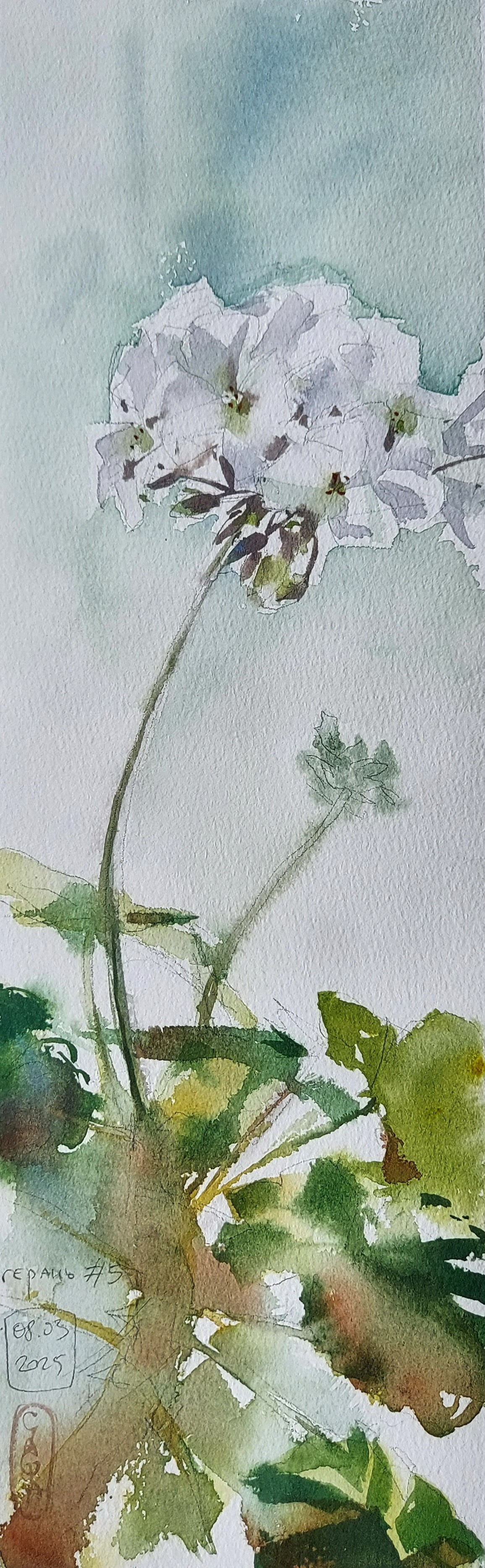 Flowers. Alexander Manaenkov | Watercolor Artist from Siberia