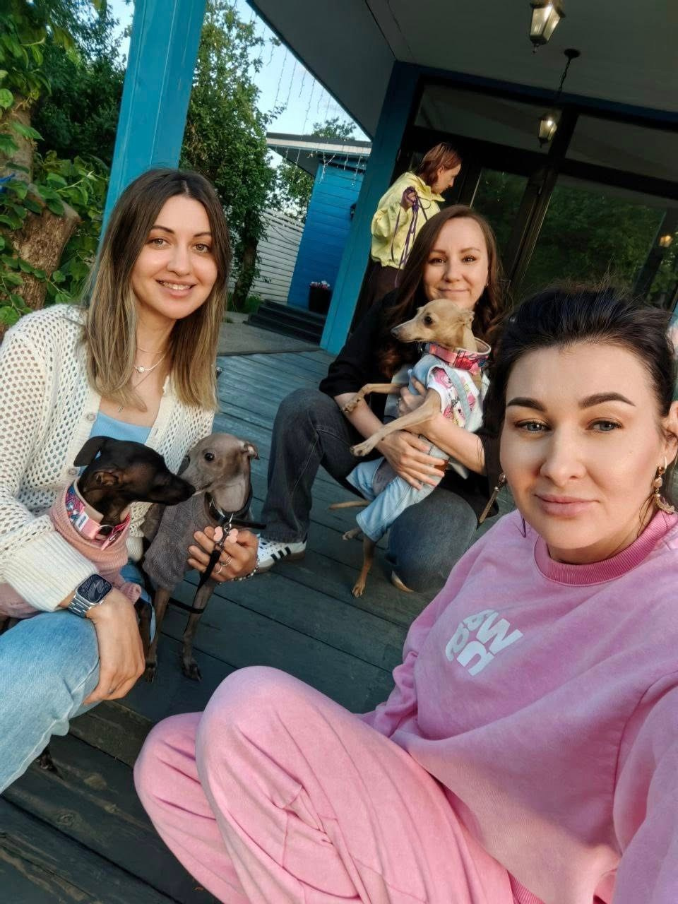 Профессиональный питомник левреток РКФ/FCI ASTI SAPPHIRE 💎 Сочи|Санкт-Петербург