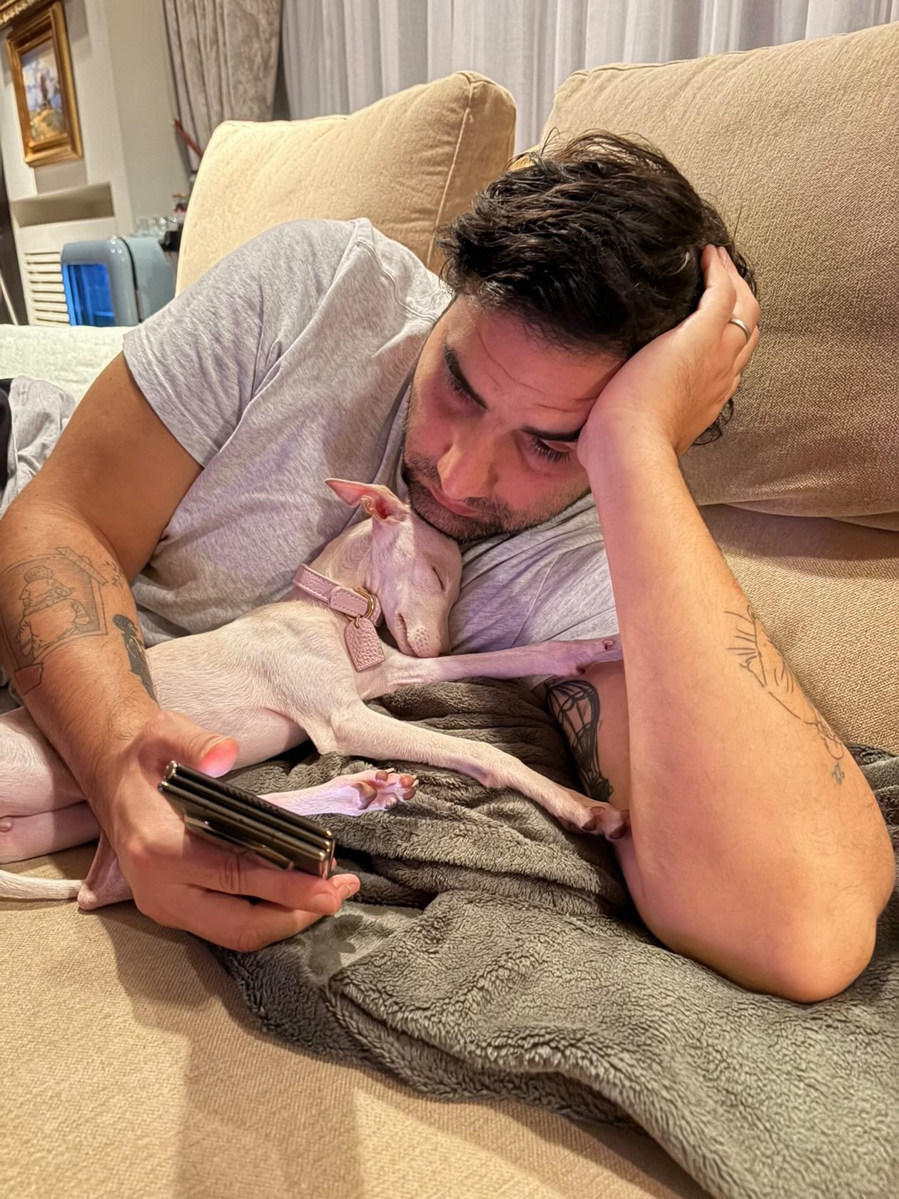 Профессиональный питомник левреток РКФ/FCI ASTI SAPPHIRE 💎 Сочи|Санкт-Петербург