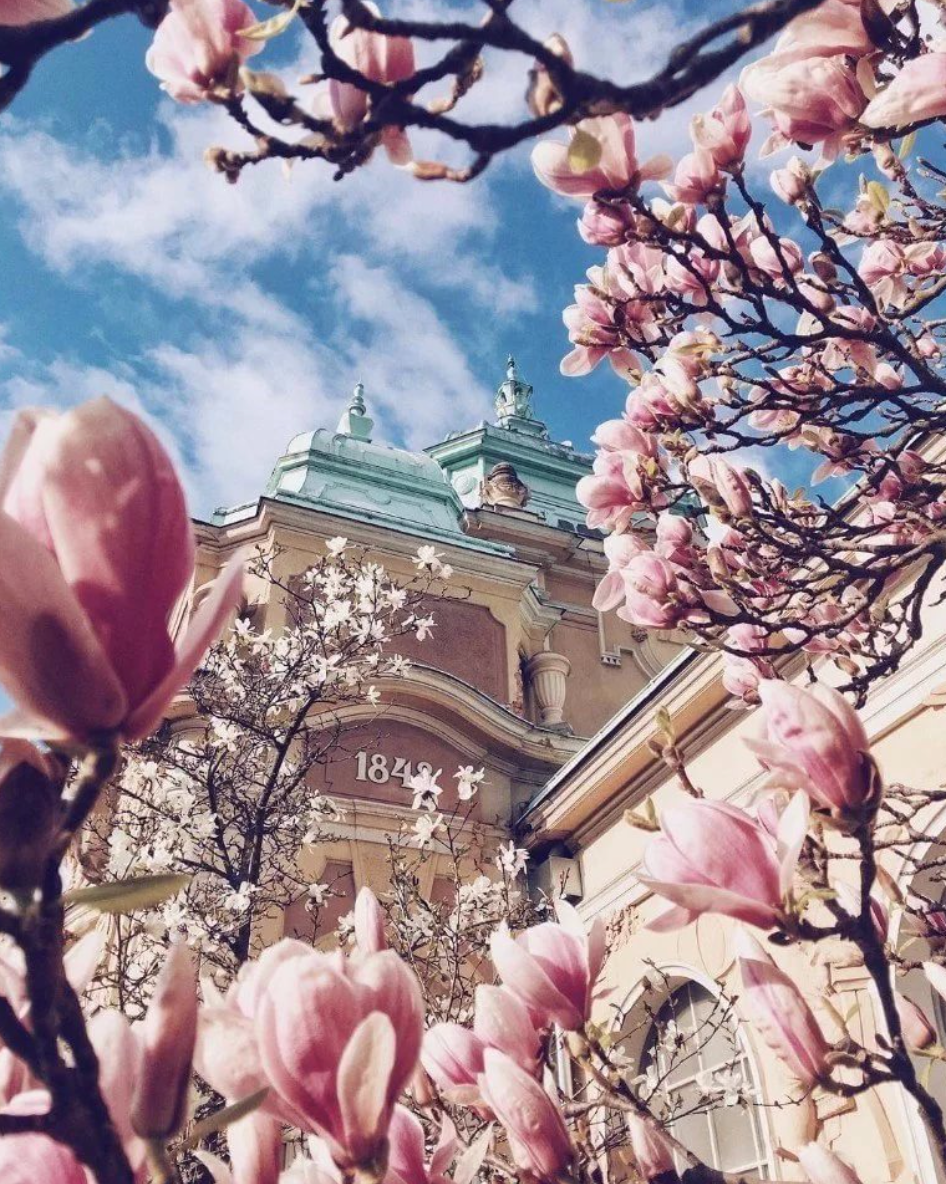 Весенний тур в Прагу 2022. Семейный и детский фотограф в Москве