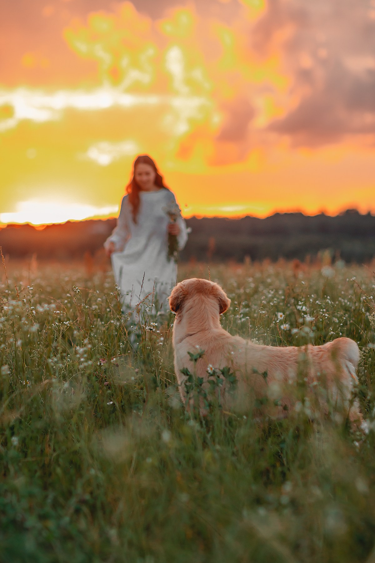 Марина и Чили. Семейный фотограф анималист Мария Крючкова