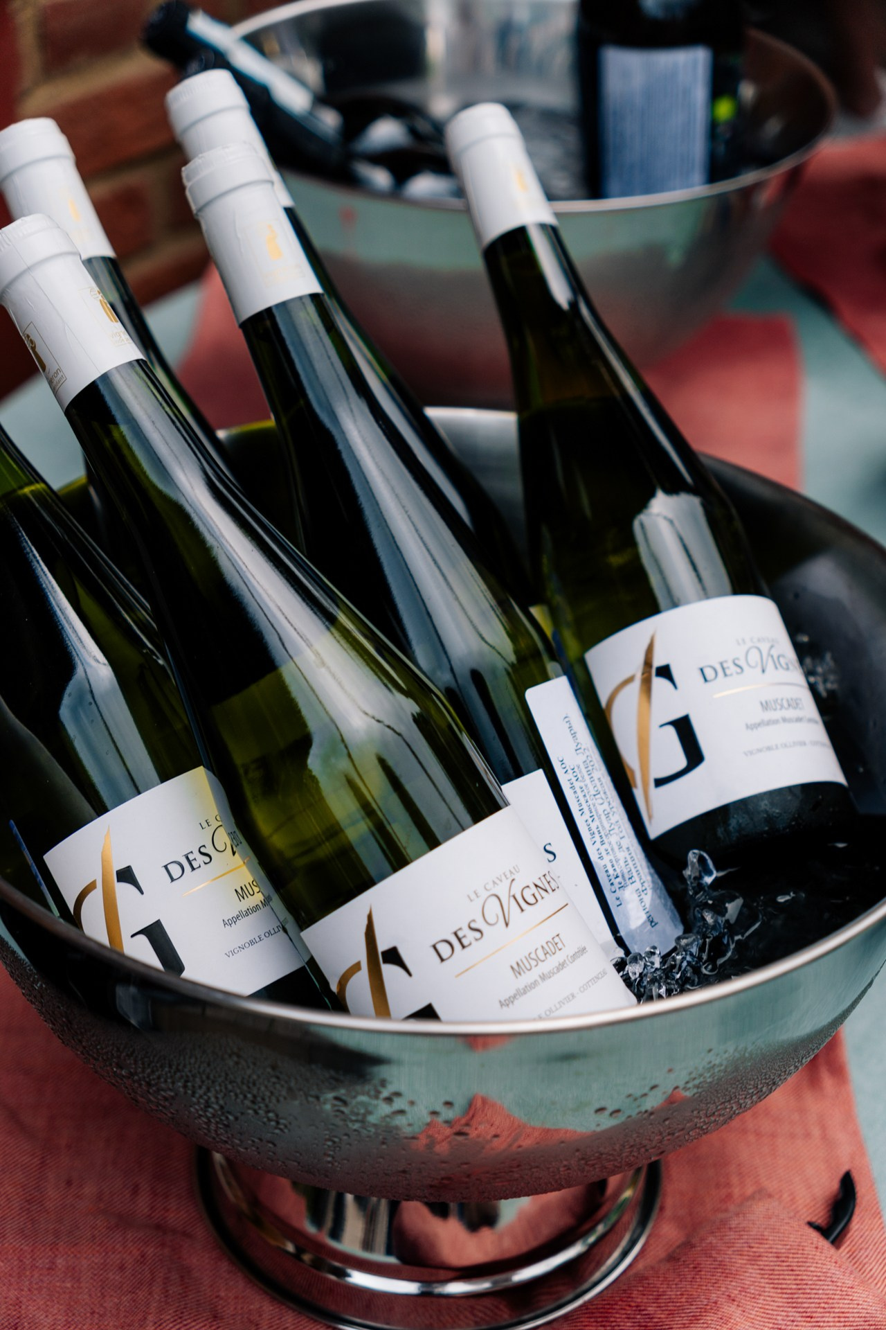 Винный ужин в ресторане Pio Verde. Репортажный фотограф Санкт-Петербург