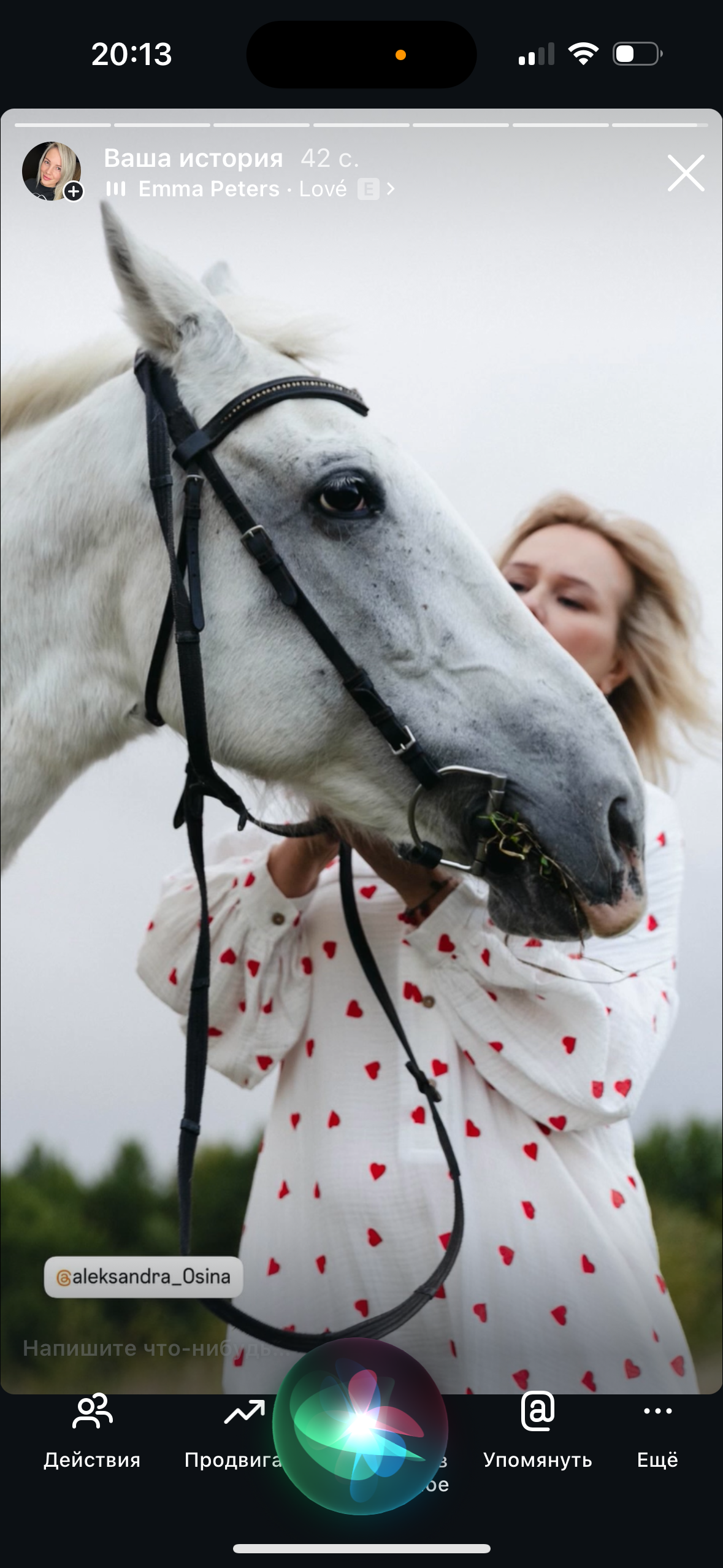 В поле с конём. Свадебный и семейный фотограф в Карелии
