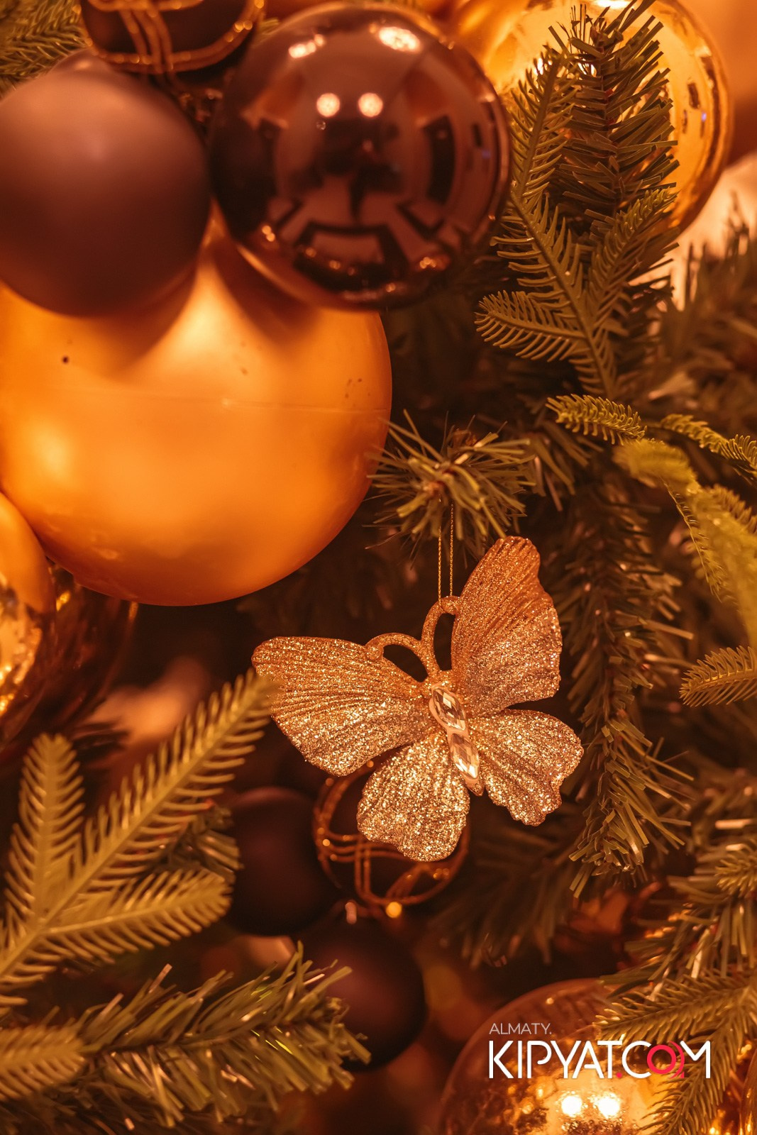 РЕСТОРАН BARFLY. КИПЯТКОМ АЛМАТЫ!