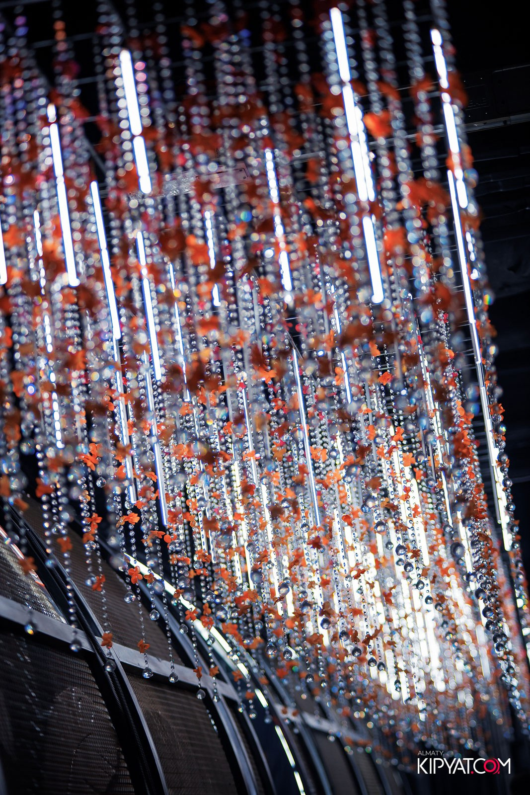 FRIENDS BAR & TERRACE. КИПЯТКОМ АЛМАТЫ!