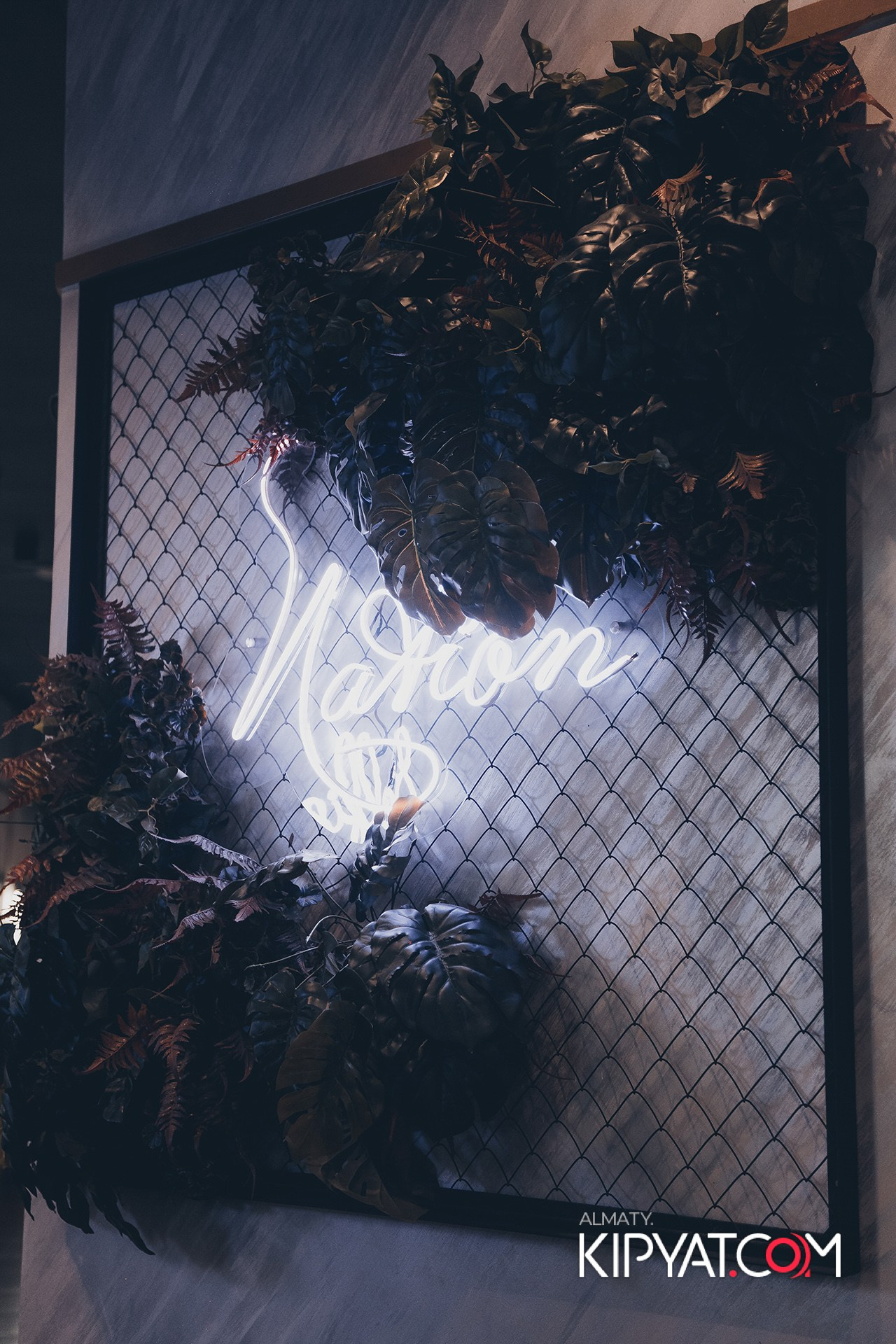 ДОРОГАЯ, Я НЕ ПИЛ. КИПЯТКОМ АЛМАТЫ!