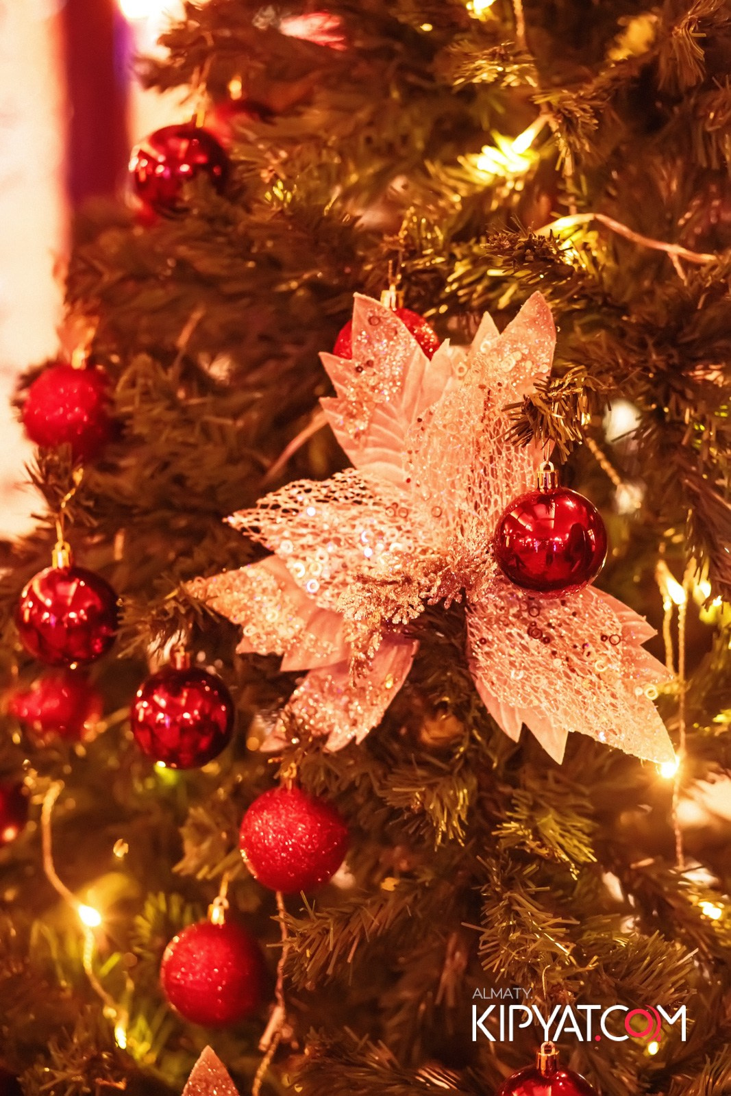 ГРУЗИНСКИЙ ДВОР НА КАБАНБАЙ БАТЫРА. КИПЯТКОМ АЛМАТЫ!