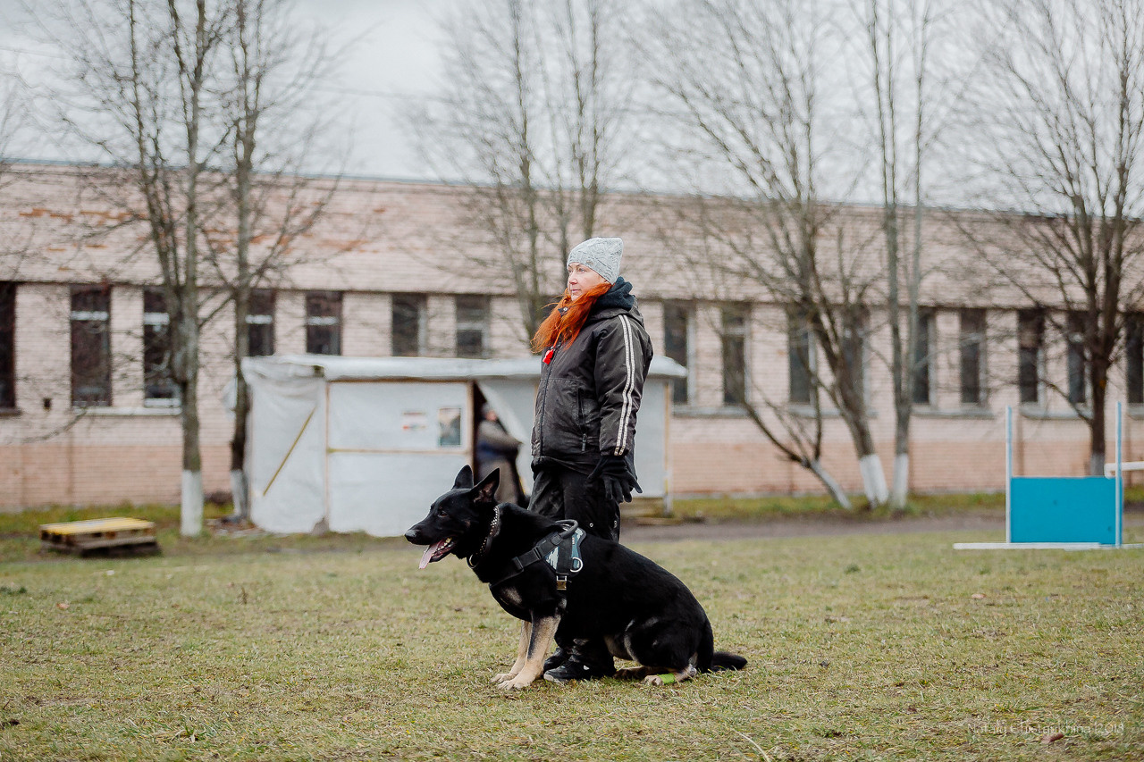 Семинары по мондио. Фотограф-анималист Наталия Чистюхина в г. Сосновый Бор и ЛО