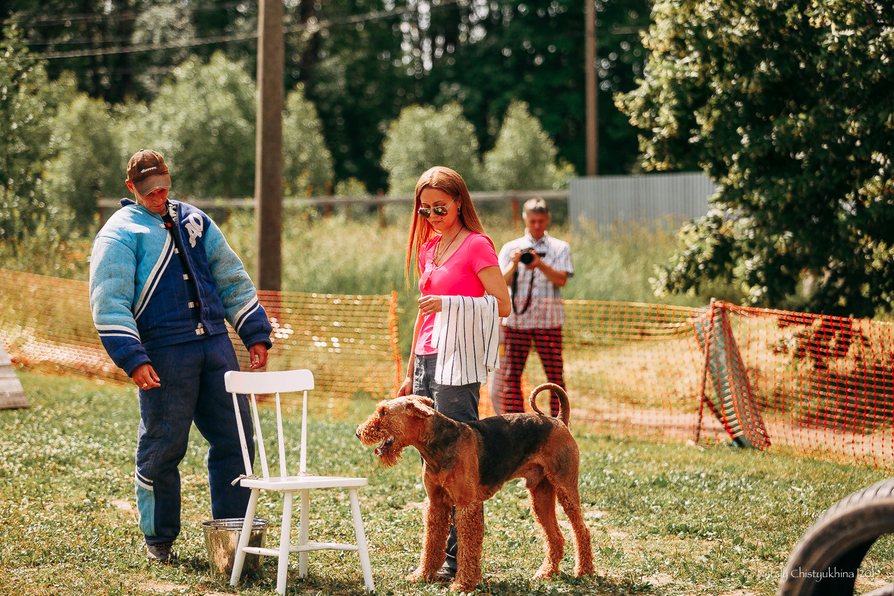 Соревнования по мондьорингу. Фотограф-анималист Наталия Чистюхина в г. Сосновый Бор и ЛО