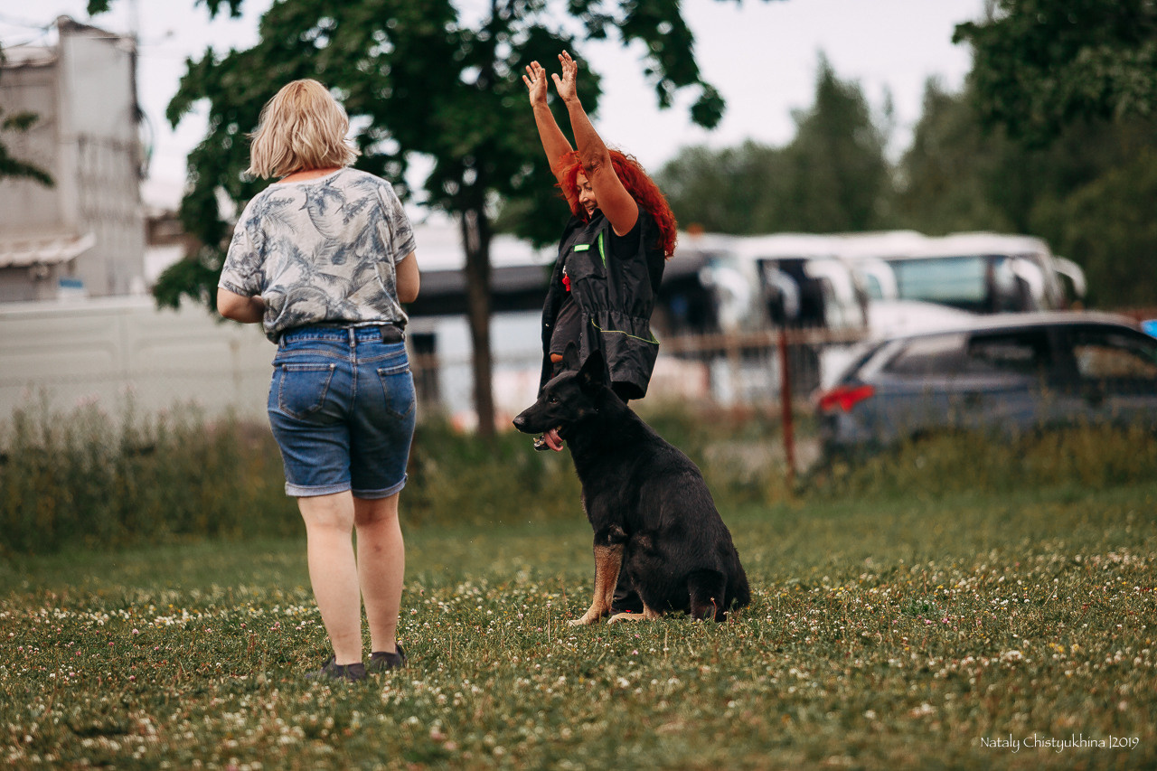 Соревнования по мондьорингу. Фотограф-анималист Наталия Чистюхина в г. Сосновый Бор и ЛО
