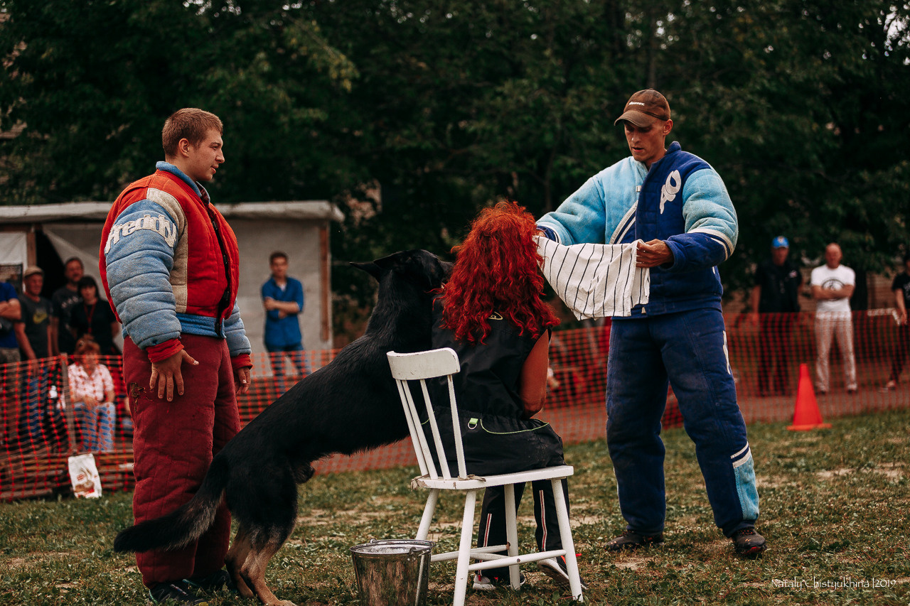 Соревнования по мондьорингу. Фотограф-анималист Наталия Чистюхина в г. Сосновый Бор и ЛО