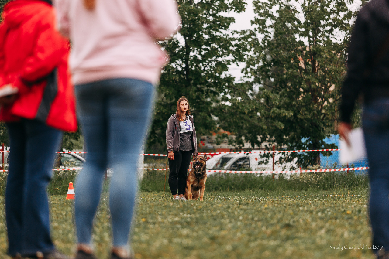 Соревнования БРР. Фотограф-анималист Наталия Чистюхина в г. Сосновый Бор и ЛО