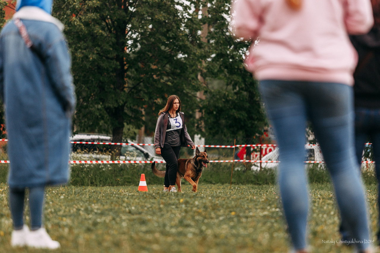 Соревнования БРР. Фотограф-анималист Наталия Чистюхина в г. Сосновый Бор и ЛО