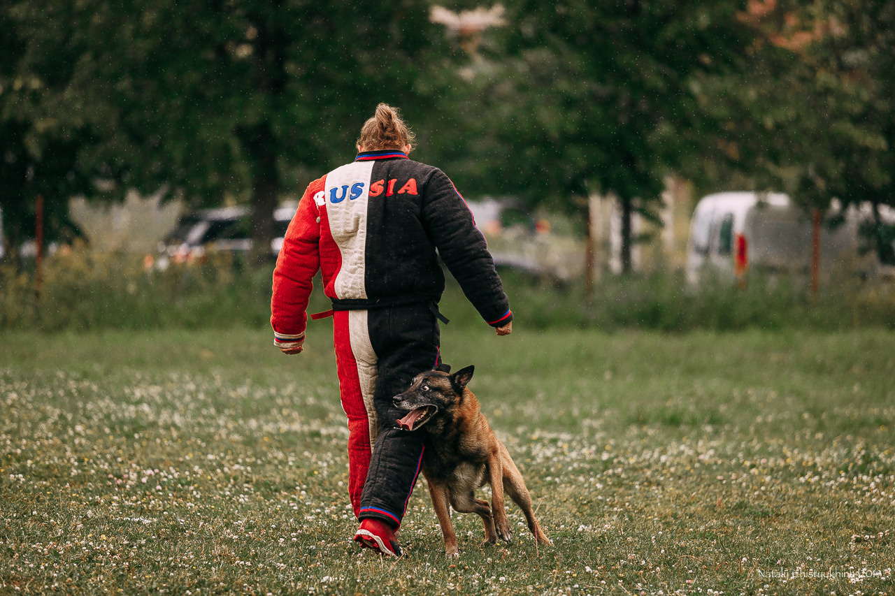 Соревнования по мондьорингу. Фотограф-анималист Наталия Чистюхина в г. Сосновый Бор и ЛО