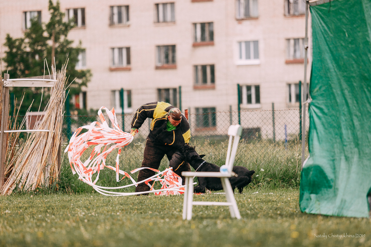 Соревнования БРР. Фотограф-анималист Наталия Чистюхина в г. Сосновый Бор и ЛО