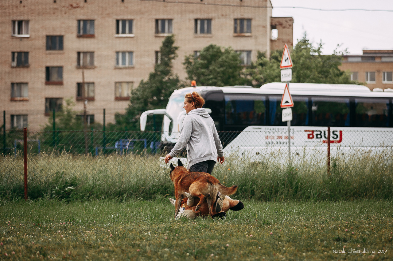 Соревнования по мондьорингу. Фотограф-анималист Наталия Чистюхина в г. Сосновый Бор и ЛО
