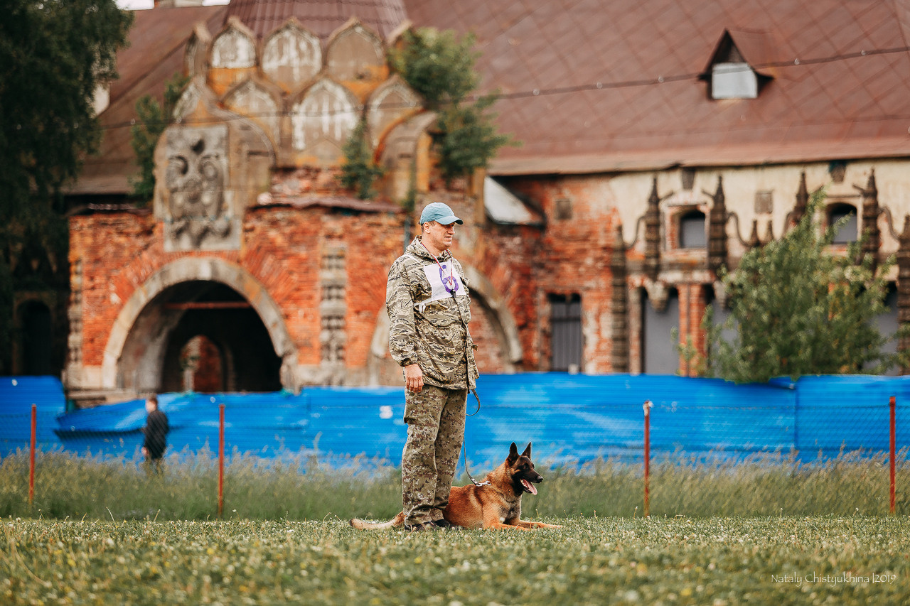 Соревнования БРР. Фотограф-анималист Наталия Чистюхина в г. Сосновый Бор и ЛО