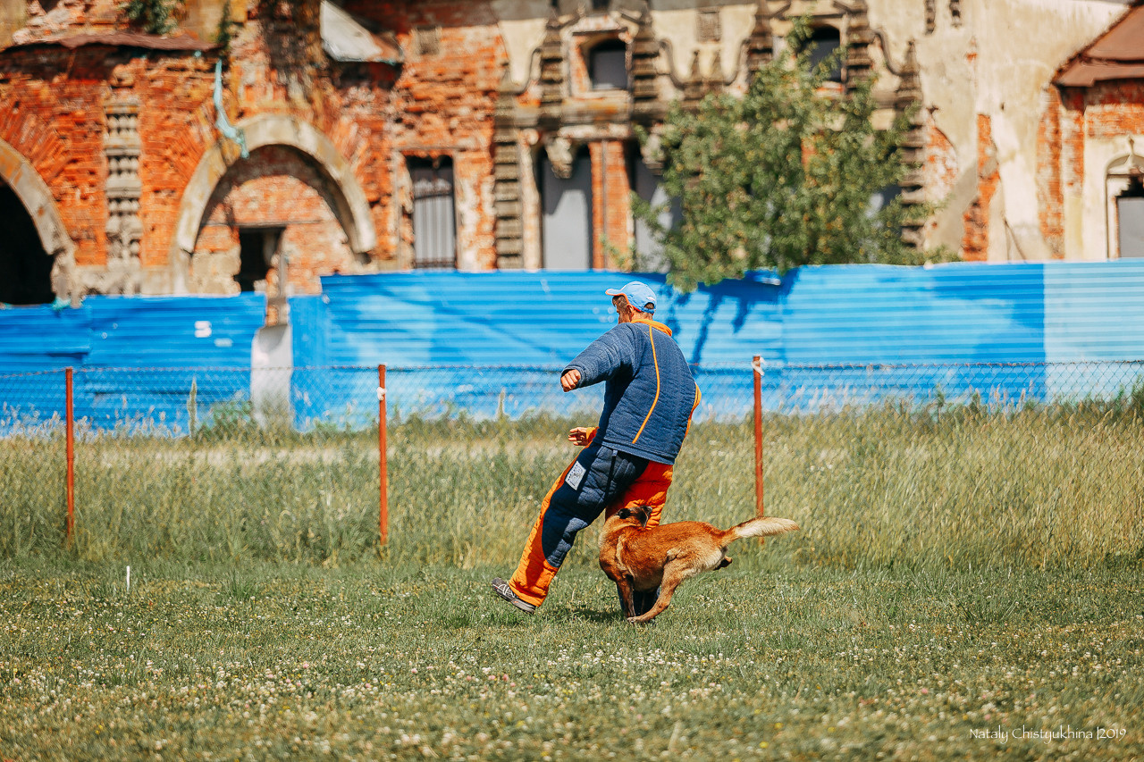 Соревнования по мондьорингу. Фотограф-анималист Наталия Чистюхина в г. Сосновый Бор и ЛО