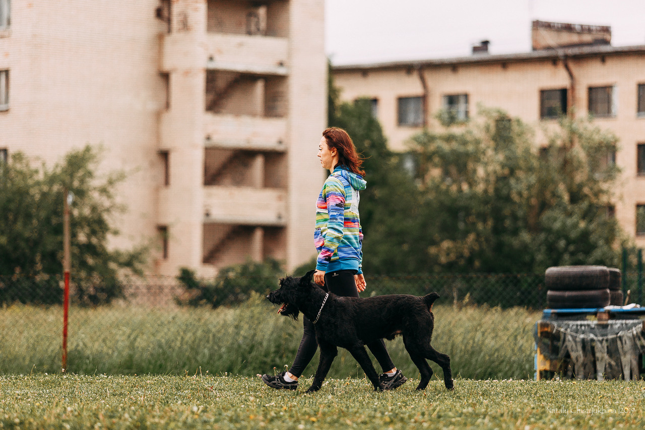 Соревнования БРР. Фотограф-анималист Наталия Чистюхина в г. Сосновый Бор и ЛО