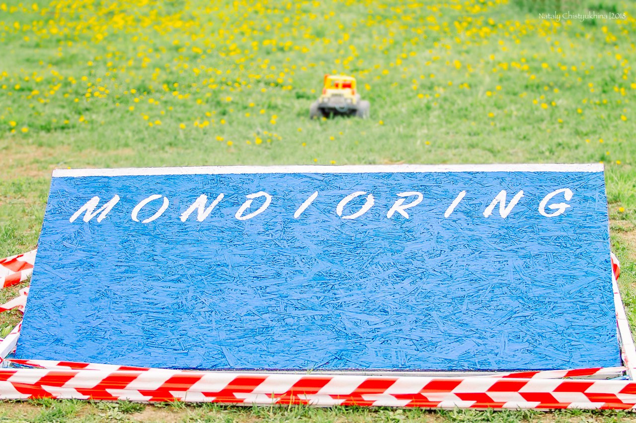 Семинары по мондио. Фотограф-анималист Наталия Чистюхина в г. Сосновый Бор и ЛО