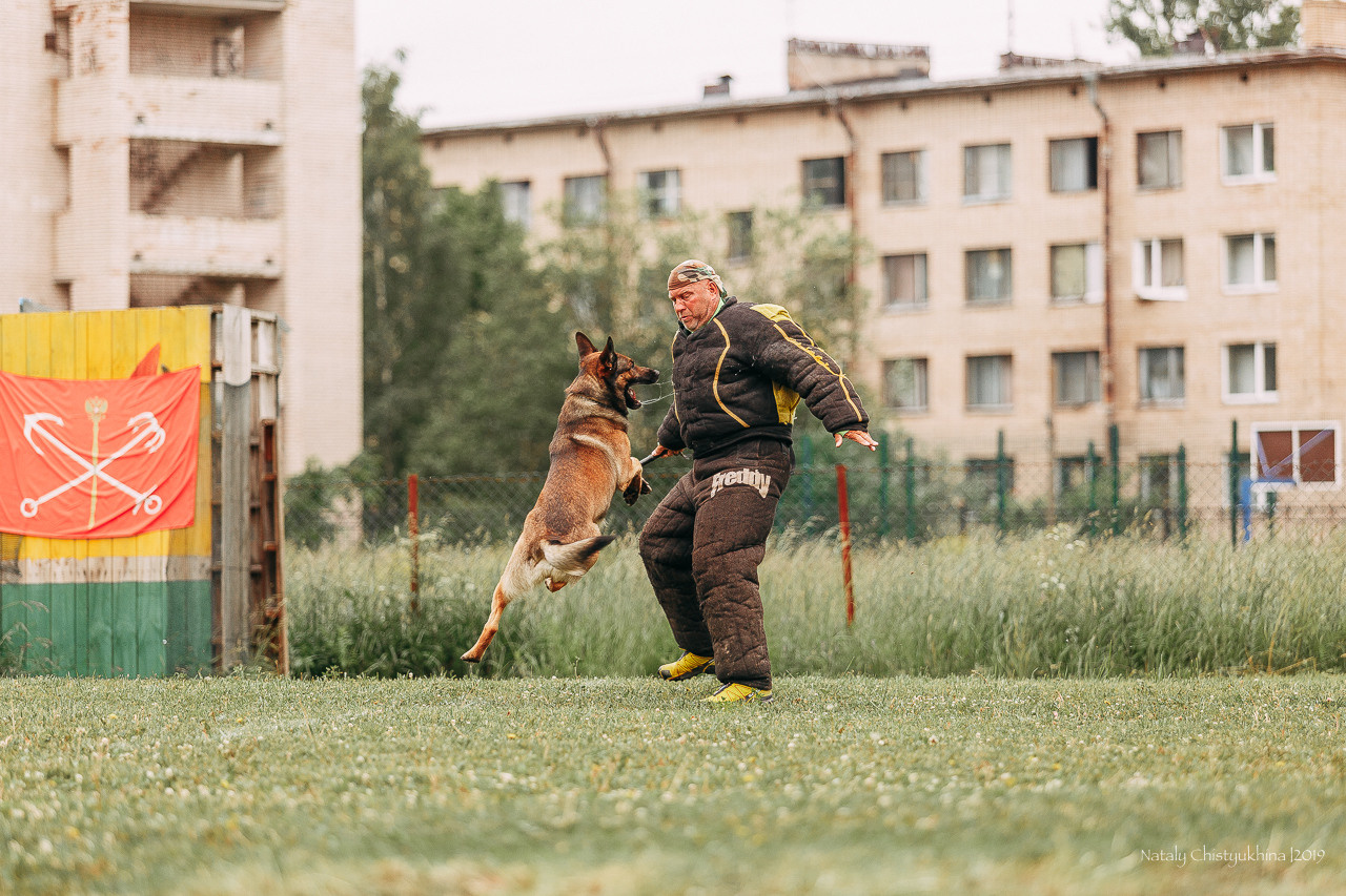 Соревнования БРР. Фотограф-анималист Наталия Чистюхина в г. Сосновый Бор и ЛО