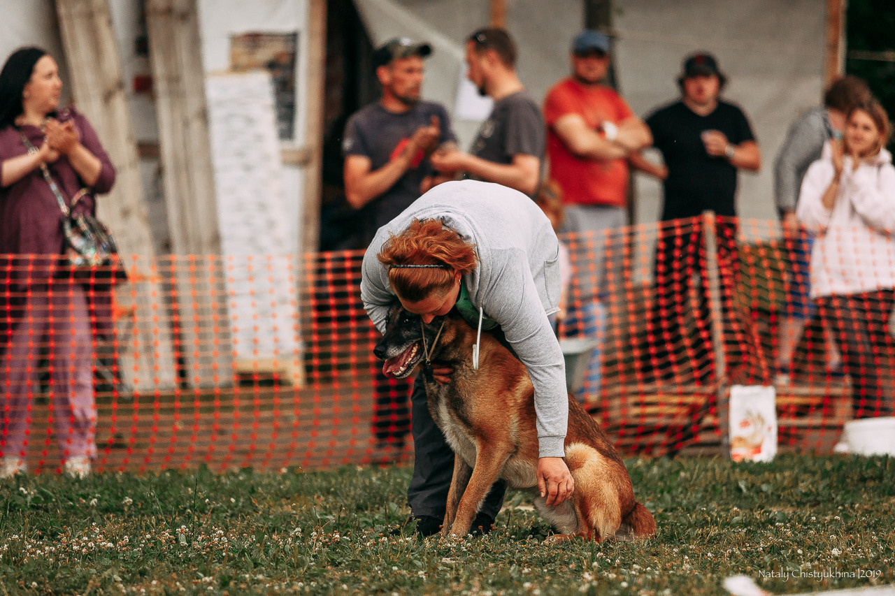 Соревнования по мондьорингу. Фотограф-анималист Наталия Чистюхина в г. Сосновый Бор и ЛО