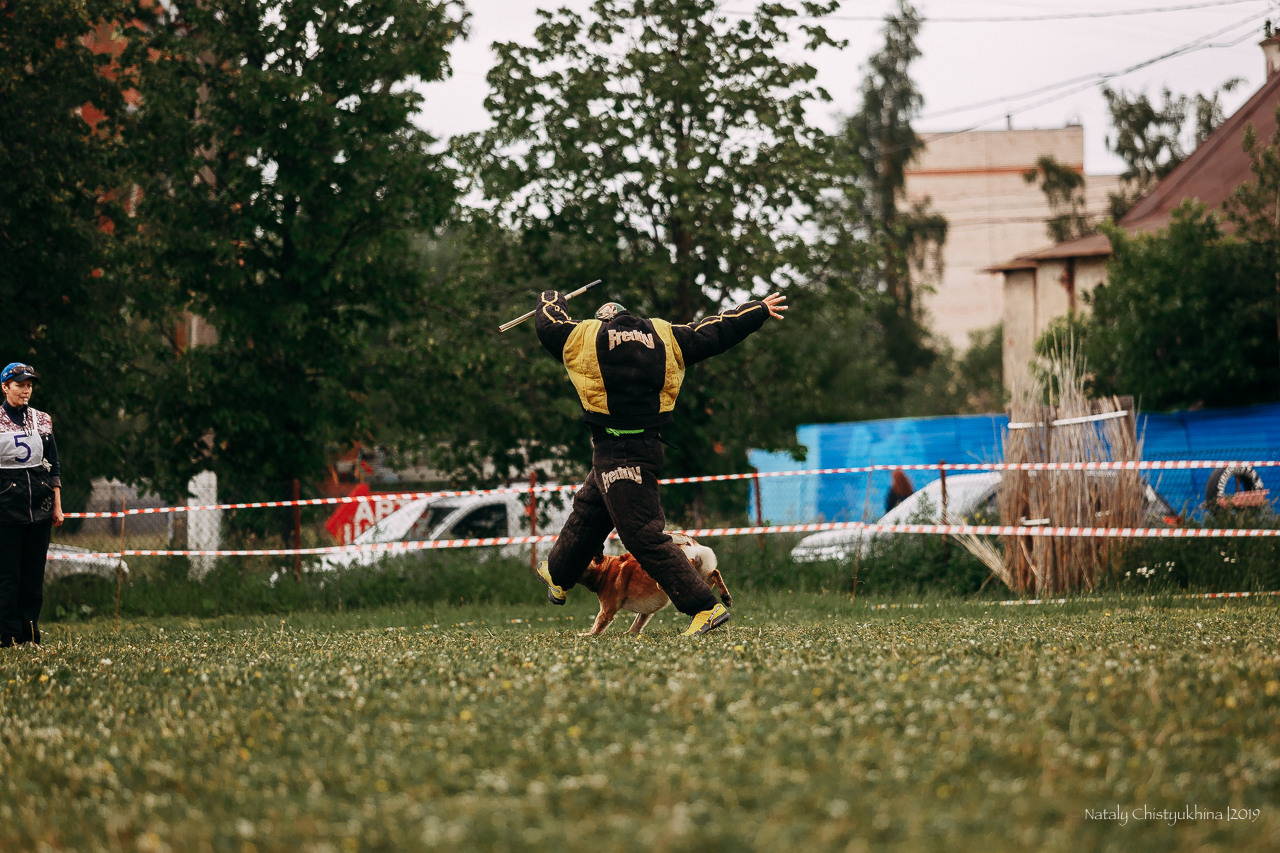 Соревнования БРР. Фотограф-анималист Наталия Чистюхина в г. Сосновый Бор и ЛО