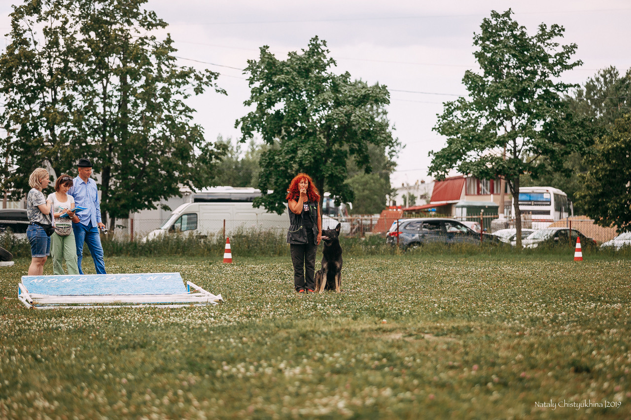Соревнования по мондьорингу. Фотограф-анималист Наталия Чистюхина в г. Сосновый Бор и ЛО