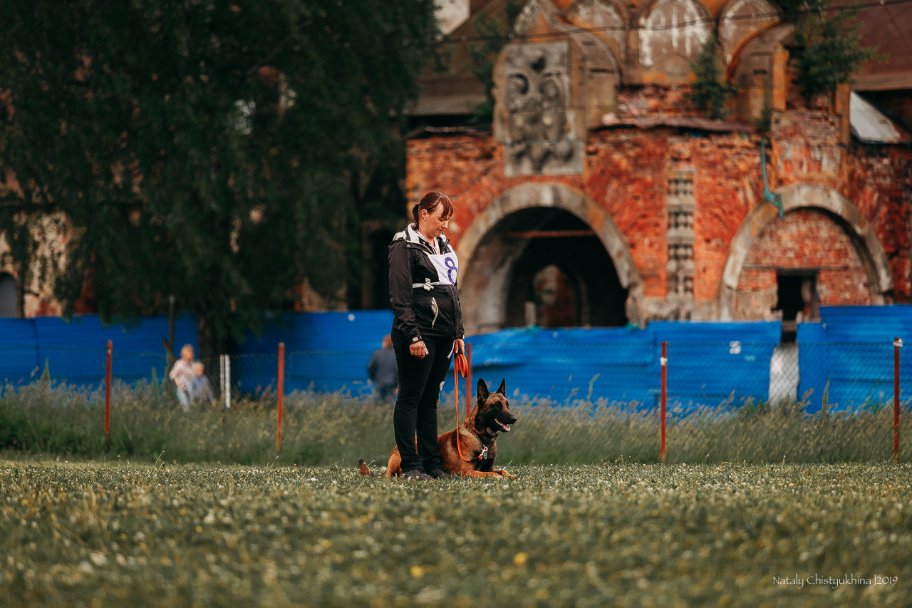 Соревнования БРР. Фотограф-анималист Наталия Чистюхина в г. Сосновый Бор и ЛО