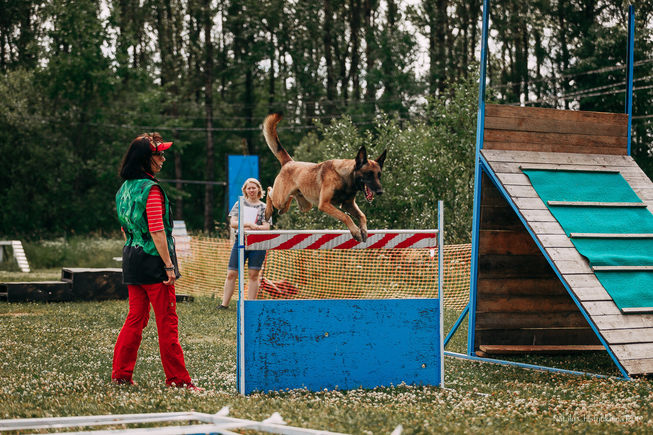 Соревнования по мондьорингу. Фотограф-анималист Наталия Чистюхина в г. Сосновый Бор и ЛО