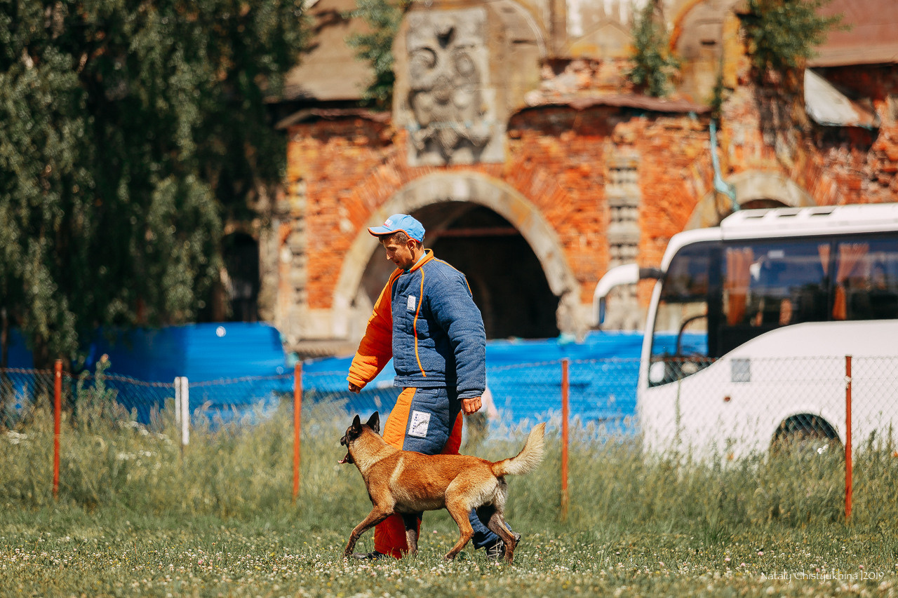 Соревнования по мондьорингу. Фотограф-анималист Наталия Чистюхина в г. Сосновый Бор и ЛО