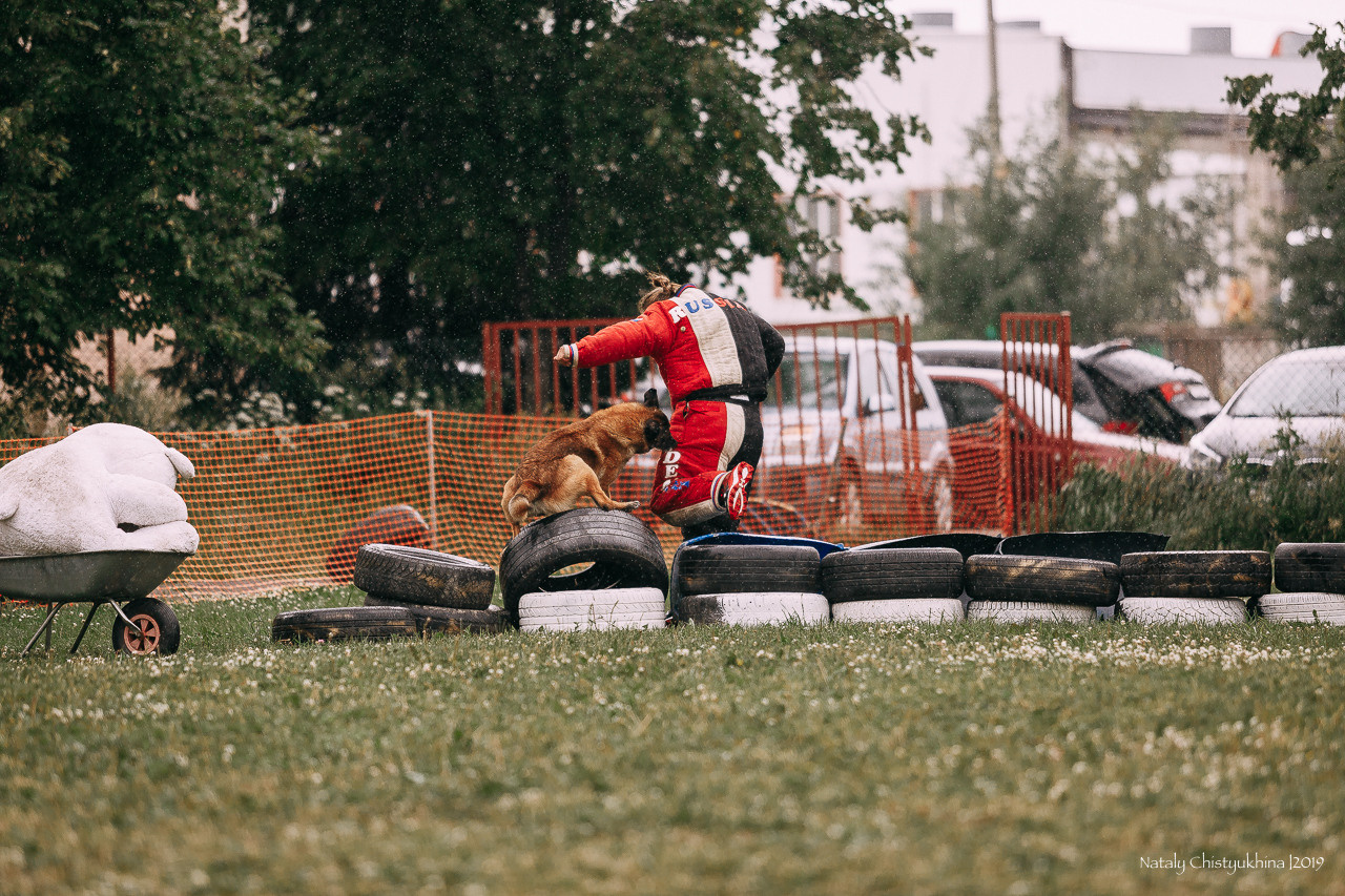 Соревнования по мондьорингу. Фотограф-анималист Наталия Чистюхина в г. Сосновый Бор и ЛО