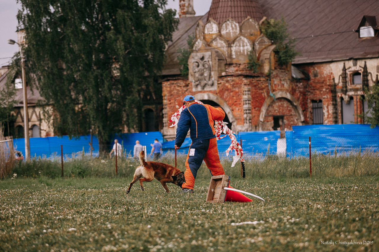 Соревнования по мондьорингу. Фотограф-анималист Наталия Чистюхина в г. Сосновый Бор и ЛО