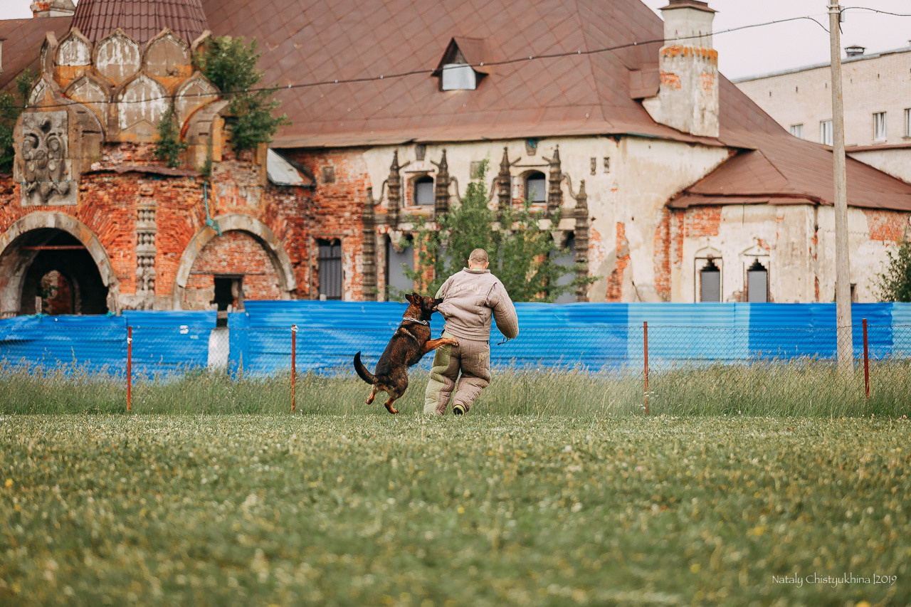 Соревнования БРР. Фотограф-анималист Наталия Чистюхина в г. Сосновый Бор и ЛО