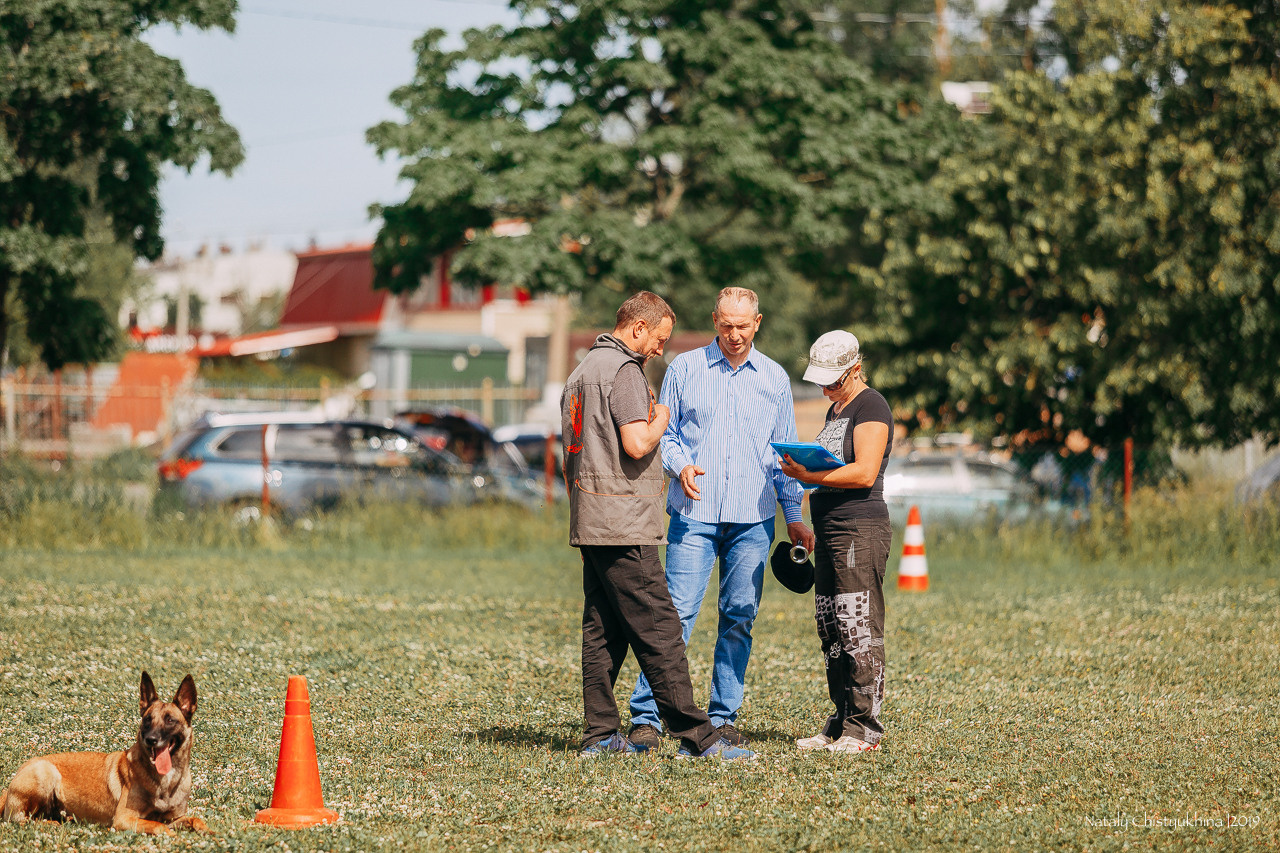 Соревнования по мондьорингу. Фотограф-анималист Наталия Чистюхина в г. Сосновый Бор и ЛО