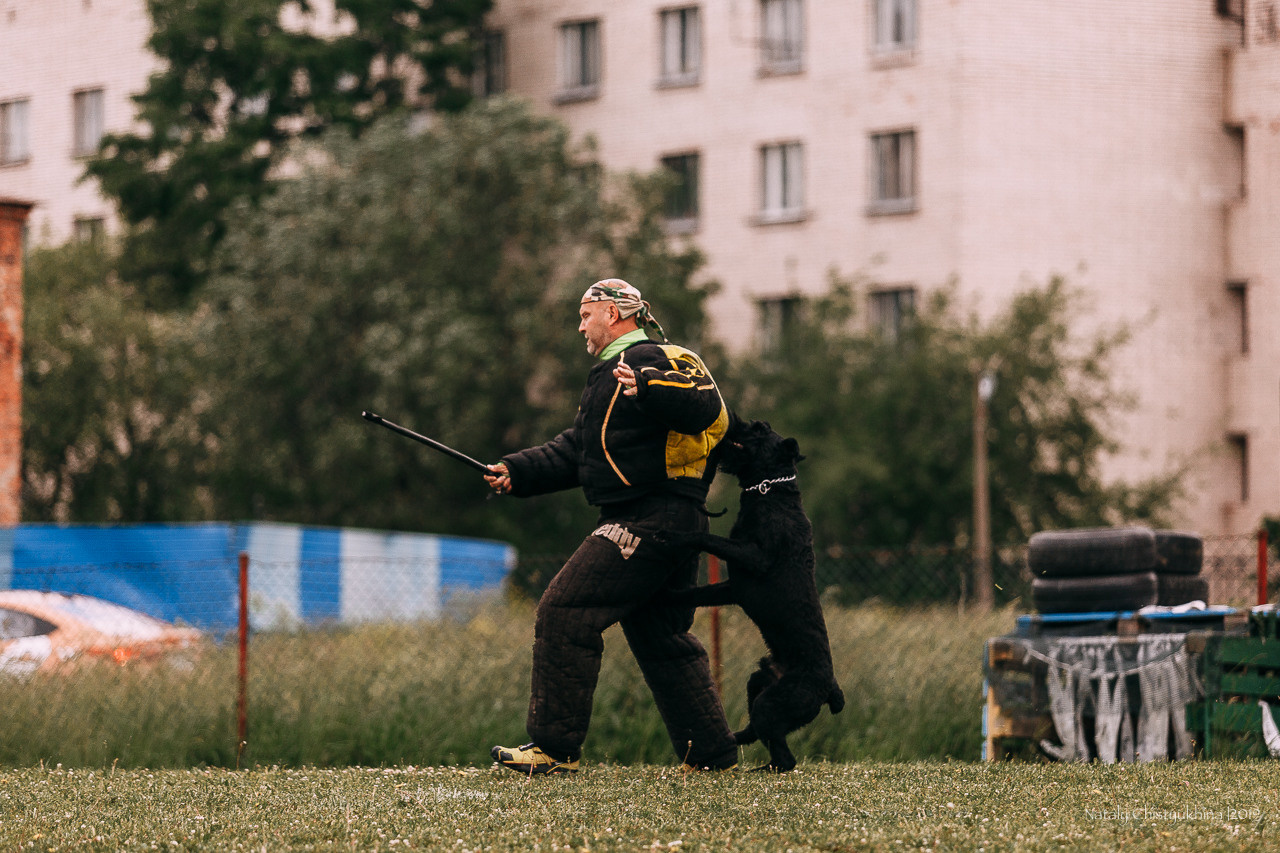 Соревнования БРР. Фотограф-анималист Наталия Чистюхина в г. Сосновый Бор и ЛО