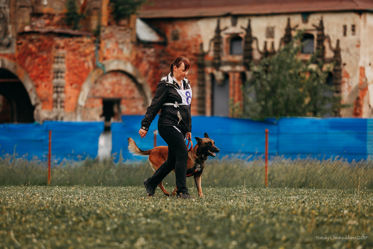 Соревнования БРР. Фотограф-анималист Наталия Чистюхина в г. Сосновый Бор и ЛО
