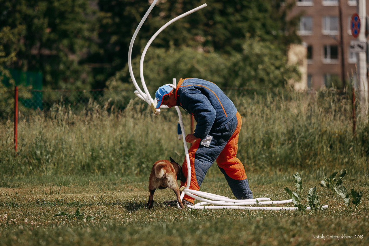 Соревнования по мондьорингу. Фотограф-анималист Наталия Чистюхина в г. Сосновый Бор и ЛО