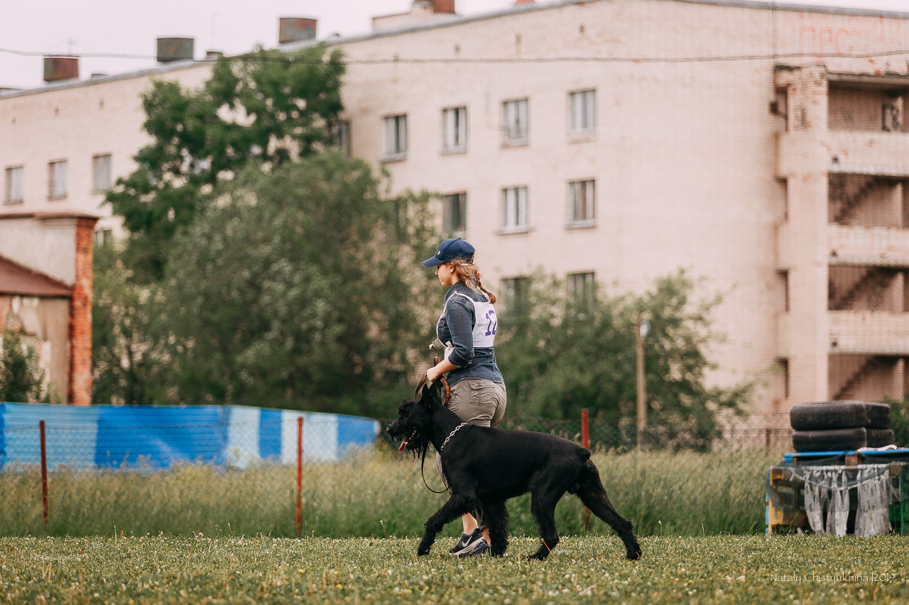 Соревнования БРР. Фотограф-анималист Наталия Чистюхина в г. Сосновый Бор и ЛО